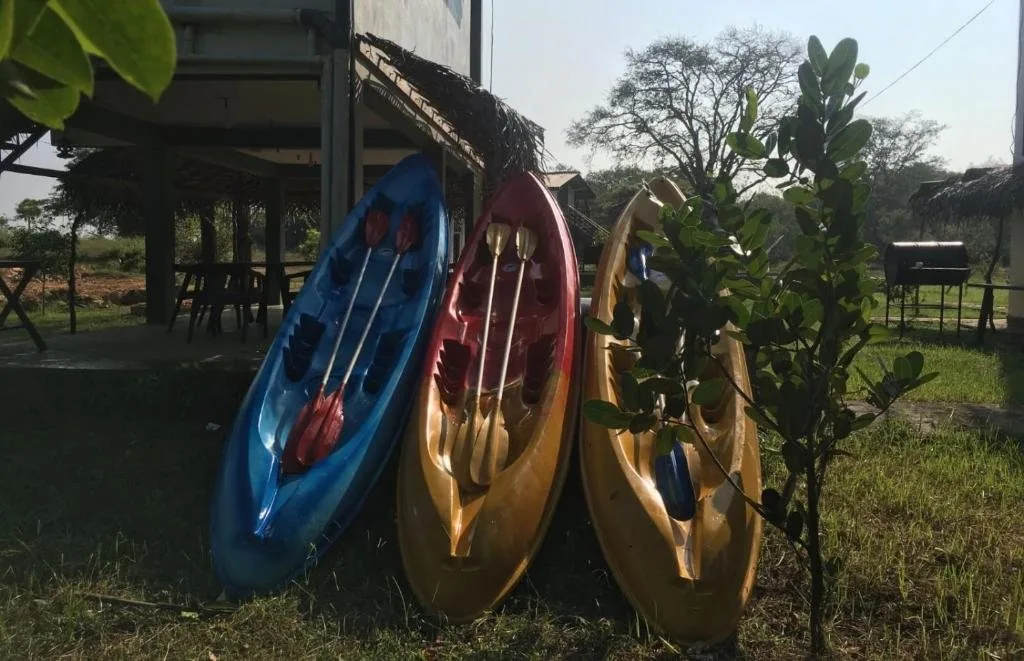 Kayaking on the Lake