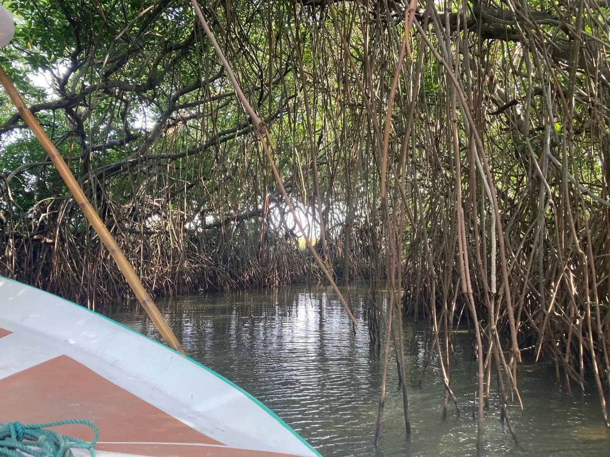 Boat Ride on the Lagoon